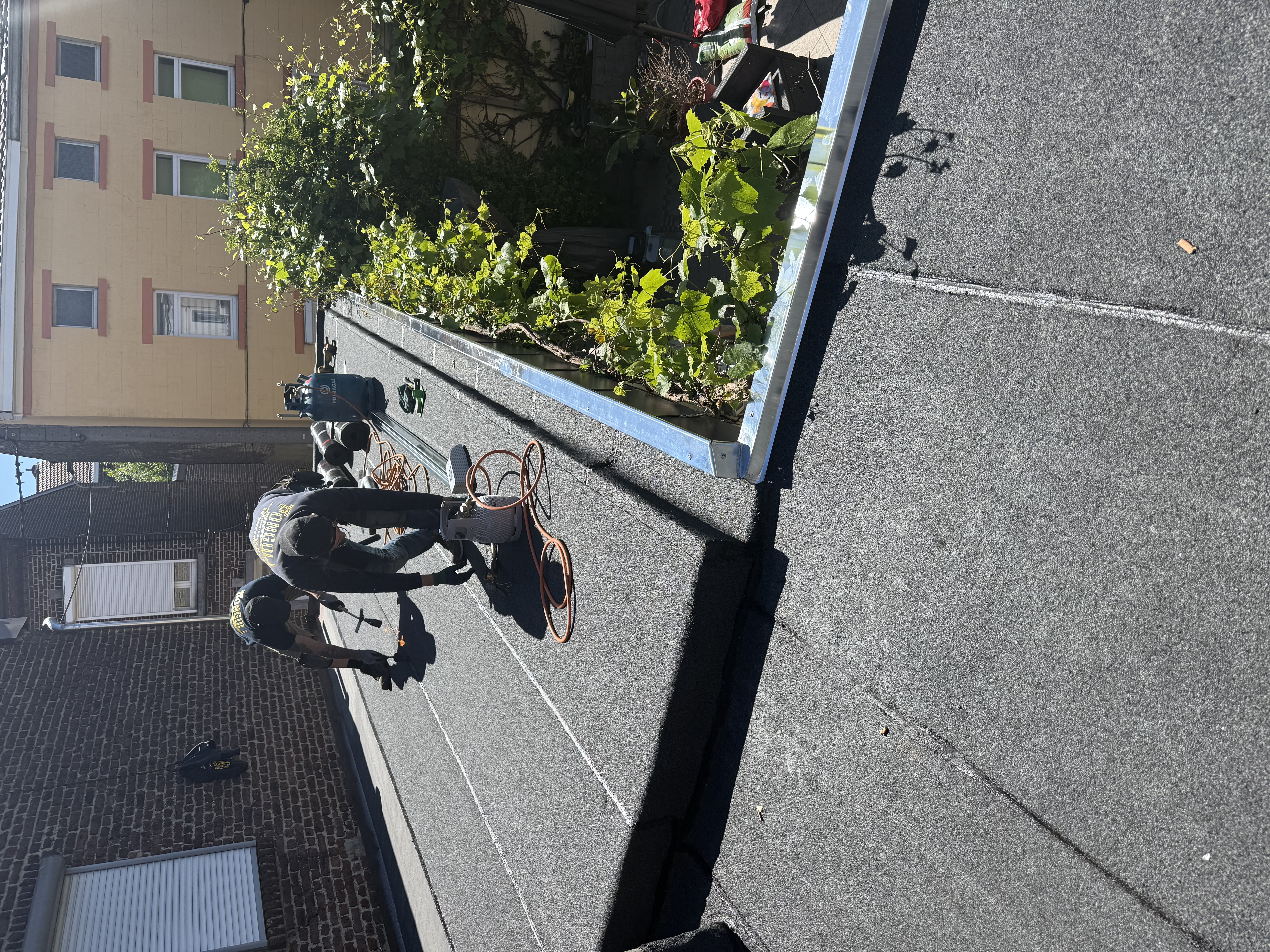 Toits plats